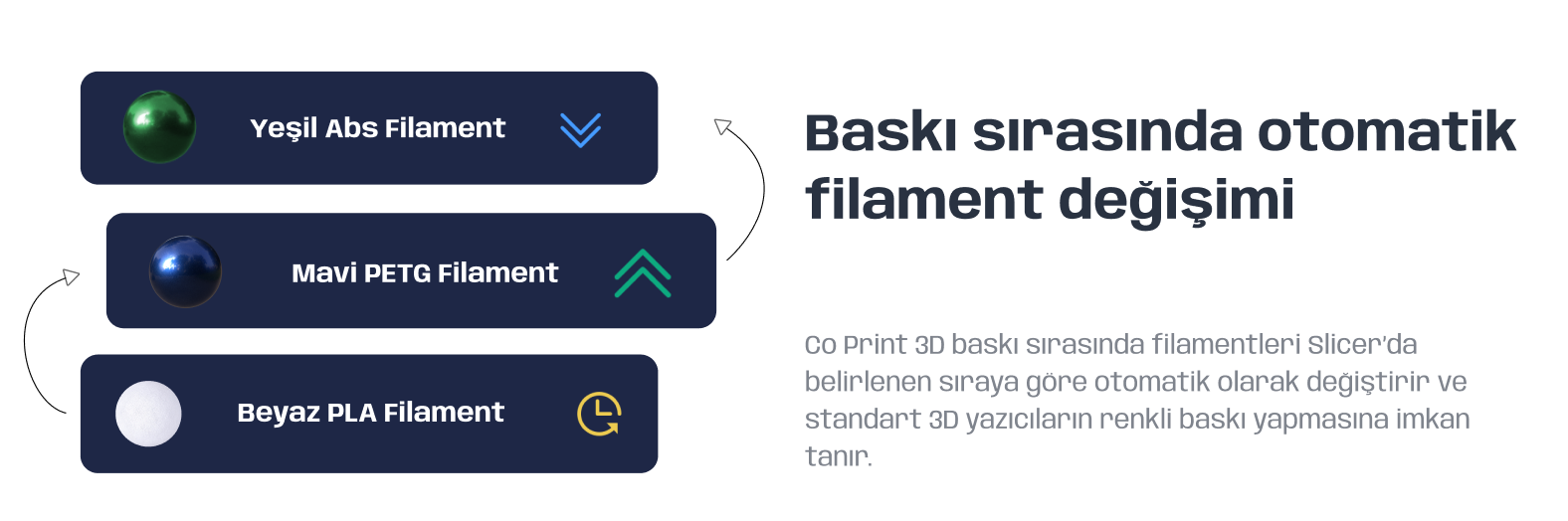 coprint.png (123 KB)