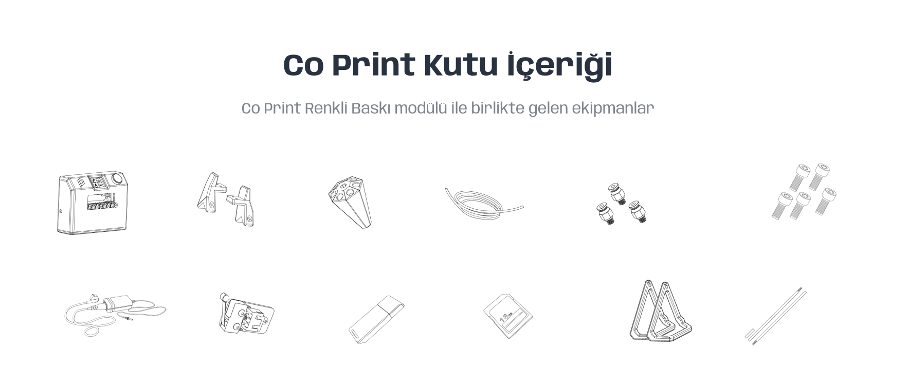 coprint3.png (174 KB)